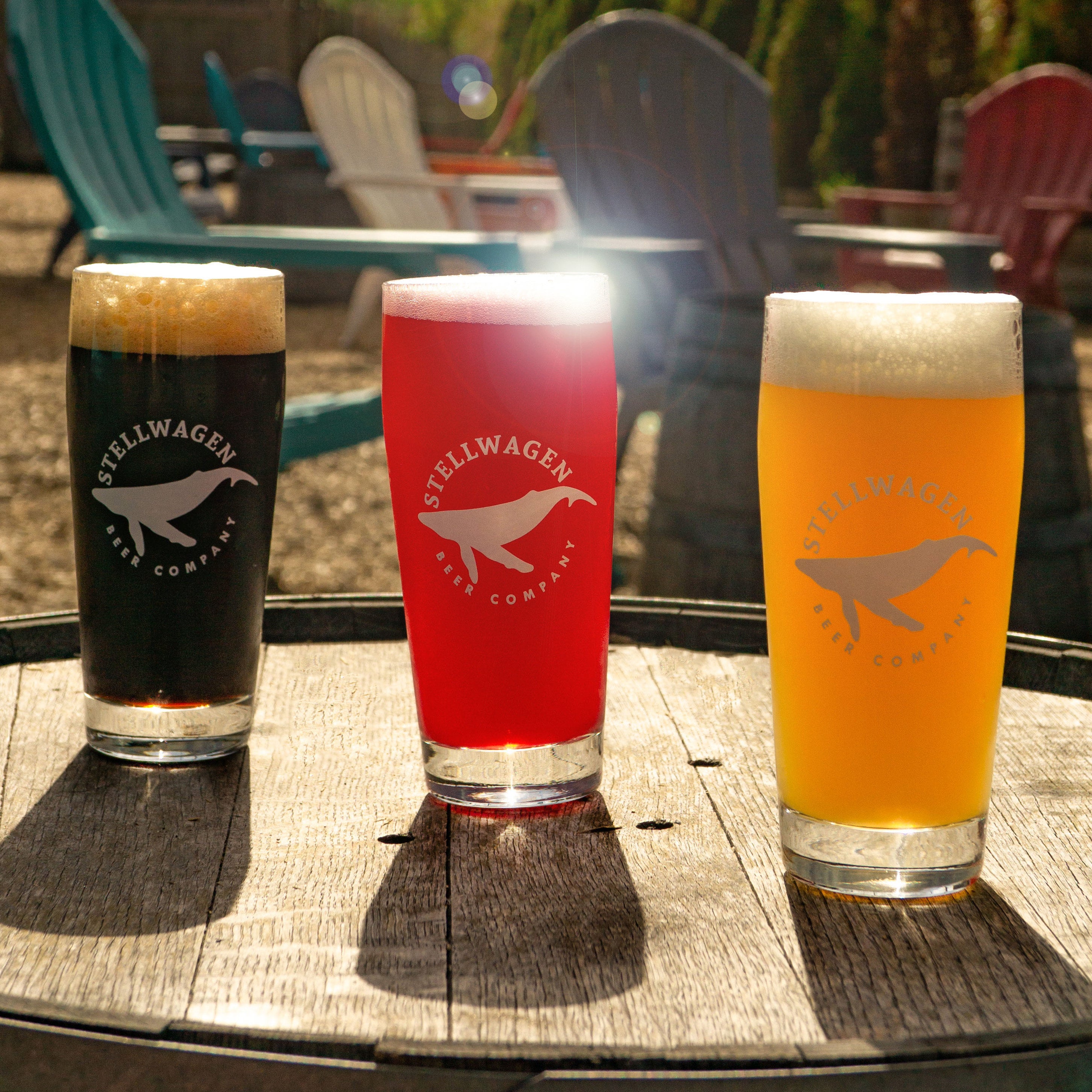 16oz Stellwagen Whale Glass | Stellwagen Beer Company